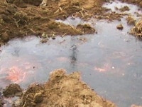 매몰지 침출수 유출...2차 환경 오염 우려