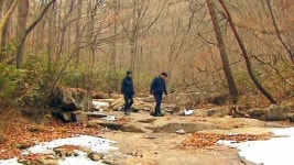 [한국의 휴양림] 국립대야산자연휴양림