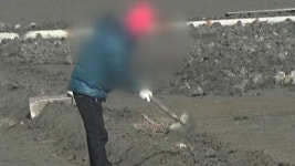 장애인 학대·감금...염전업주 등 무더기 적발