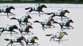 독버섯처럼 번지는 사설 경마게임장