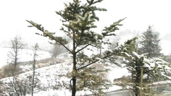 내일 춘분인데...강원 산간 또 대설주의보