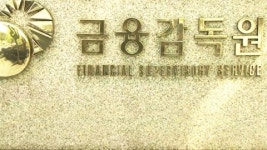 금감원, 