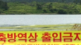 제주서 첫 고병원성 AI 바이러스 확진