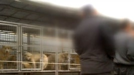 양주건강원어선당 | '버섯농장 위장' 90억대 불법 동물 경매장
