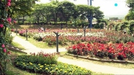 지친 몸과 마음...자연 속에서 힐링을