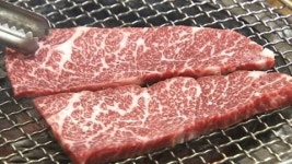 [울산] 울산 울주군에 한우 테마거리 조성