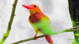 [한국의 휴양림] 국립절물자연휴양림