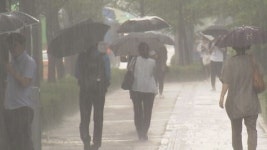 제주도만 장맛비...내륙 22년 만에 7월 장마