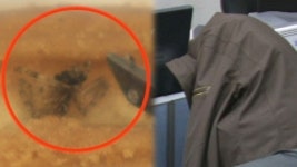 전문적 블랙 컨슈머 적발...3백여 차례 돈 뜯어