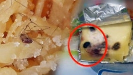 전문적 블랙 컨슈머 적발...3백여 차례 돈 뜯어