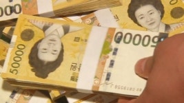 꼭꼭 숨은 5만 원권…최고의 로비 수단?