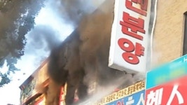 수원 애견샵에서 불...개 수십 마리 죽어