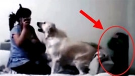 [SNS 세상] 아들 꾸짖는 엄마 말리는 견공…때리지마세요