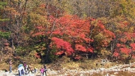 오늘 설악산 첫 단풍...다음 달 18일 절정 예상