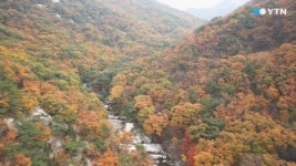 추억의 유원지 송추계곡 단풍 명소로