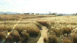 쌀쌀한 바람, 체감온도 뚝