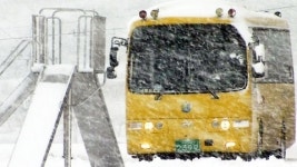 폭설로 전남 유치원·학교 122곳 휴업
