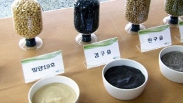 팥죽, 이젠 색 다양 기능도 다양