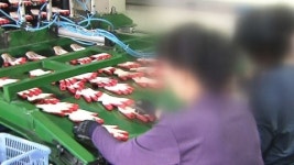 [경북] 사회적 기업 종합상사 설립