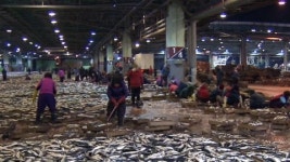 [부산] 부산공동어시장 올해 첫 경매 열어