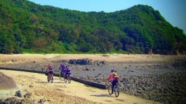 안산, 보물섬 대부도로 명품 관광 꿈꾼다