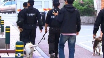 이번에는 청와대 폭파 협박글...경찰 작성자 추적