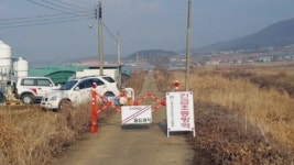 경남 고성 오리 농장 AI 고병원성 확진