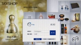 대한항공도 개인정보 보안 부실