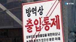 구제역 걸린 돼지 출하...방역 구멍