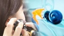 달팽이관 소리 구별 비밀 규명...난청에 희망