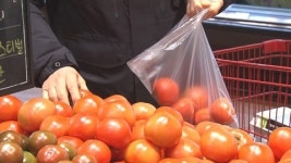 대형마트 신선식품 최저가 경쟁