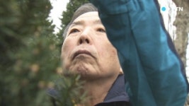 [경기] 40년 키운 50억 대 나무 기증...더 많은 사람에 혜택을