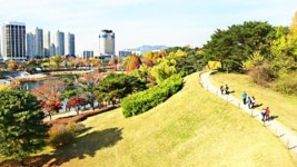 날 좋은 날, 산책하기 좋은 길