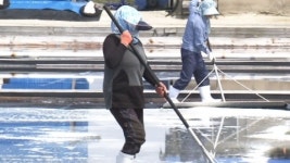 소금밭에서 찾은 황혼의 지혜