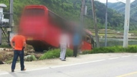초등학생 태운 관광버스 논바닥으로 떨어져