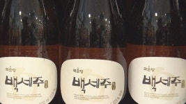백수오 불똥 주류업계로...백세주 전량 회수