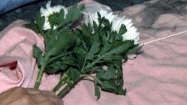 장성 요양병원 화재 1년...쓸쓸한 추모식