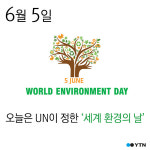자전거 무덤과 세계 환경의 날