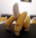 바나나의 무한 변신 이래도 안 반하나?