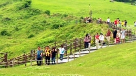 제주, 메르스 여파로 관광객 감소...피해 급증