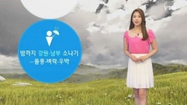 [날씨] 밤까지 강원·남부 소나기...돌풍·벼락·우박 주의