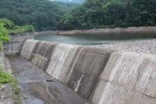 충북 충도저수지(소이지) 붕어 조행기