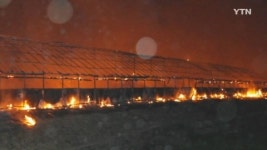 양계장 불 닭 5만 8천여 마리 폐사...1억여 원 피해