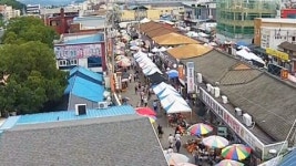 개장 10년 정남진 토요시장...전국 관광 명소로