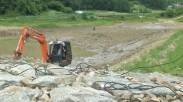 피라니아 퇴치 작전...저수지 물빼기 완료