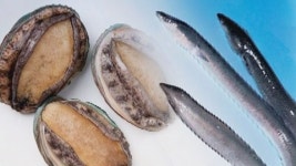 삼계탕 비켜!...올여름 보양식 장어·전복 뜬다