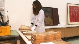 [대전·대덕] 대전시립박물관 어린이 박물관학교 운영