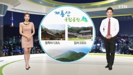 이번 주말에는 계룡산을 올라보시는 건 어떠세요?