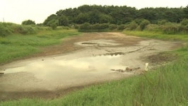 바닥 드러낸 저수지...타들어가는 농심