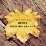 [한컷뉴스] 천고마비의 계절 사람도 살찐다?